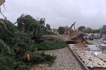 Linhas ferroviárias cortadas, inundações e problemas de rede: depressão Kristin continua a afetar o País 