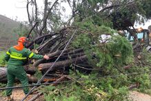 Exército ajuda nas operações de limpeza após passagem da depressão Kristin