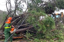 Exército ajuda nas operações de limpeza após passagem da depressão Kristin
