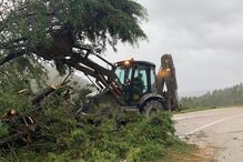 Máquina remove árvores caídas na estrada após tempestade
