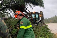 Militar e maquinaria removem árvore caída da via após tempestade