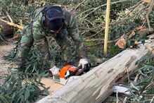 Militar corta árvore com motosserra durante ação de apoio em Leiria