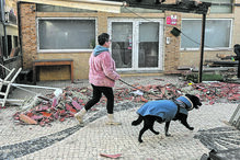 Populares sentiram-se na obrigação de ajudar a cidade de Leiria a recuperar-se da tempestade 