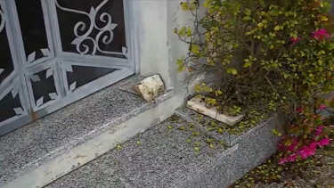 Cemitério de Vieira do Minho alvo de atos de vandalismo recorrentes. Roubam flores, jarros, velas e fios 