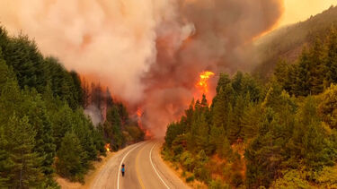 Imagens aéreas mostram incêndios florestais a alastrar na Patagónia argentina