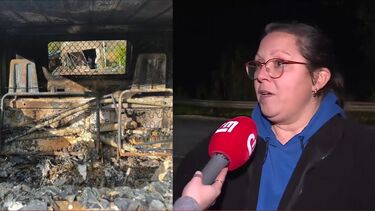 "Puro ato de vandalismo": donos de horta vandalizada em Loures apresentaram queixa na PSP