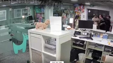 Videovigilância capta momento em que mãe e filha são agredidas e ameaçadas por dois homens em clínica veterinária na Maia 