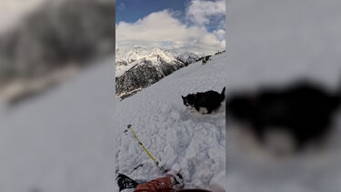 Ares Masip estava a esquiar com o cão quando foi apanhada por uma avalanche  