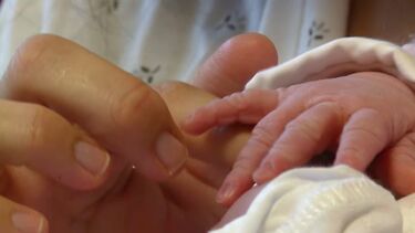 Casal gay de Alcobaça acusado de "mercadejar" bebé para "satisfação pessoal"