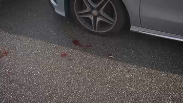 Três esfaqueados em discoteca em Santa Maria da Feira