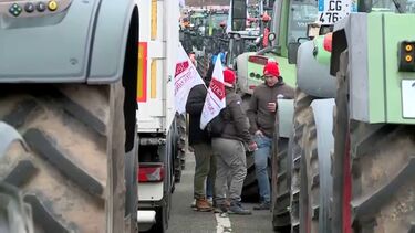 Filas intermináveis de tratores marcam mais um protesto dos agricultores em Estrasburgo  