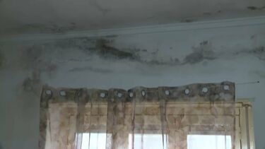 “É complicado viver nesta situação”: José diz que começa a chover dentro de casa quando está mau tempo  