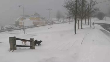 Vento forte e queda de neve encerram acessos à Torre no maciço central da Serra da Estrela
