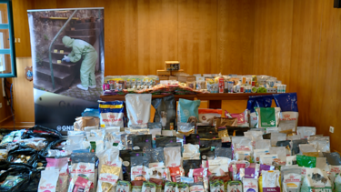 GNR resgata 104 animais exóticos, 16 cães e quatro gatos numa loja em Penafiel. Homem constituído arguido por maus-tratos