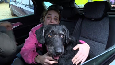 A emoção do reencontro entre Ana e ‘Boro’, o cão desaparecido após colisão entre comboios em Espanha