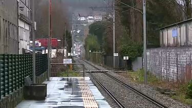 Retomada circulação ferroviária na Linha do Minho suspensa após queda de árvore