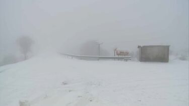 Nevão deixa equipa da CMTV retida em Castro Daire e corta estradas