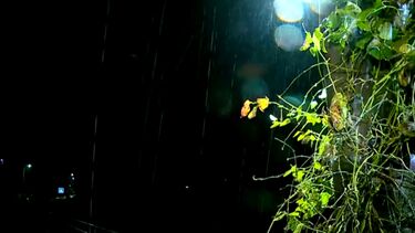 Rio atmosférico transatlântico intensifica chuva em Portugal na próxima semana