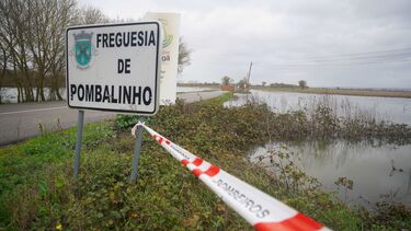 Subida do Tejo inunda campos agrícolas e deixa estradas submersas