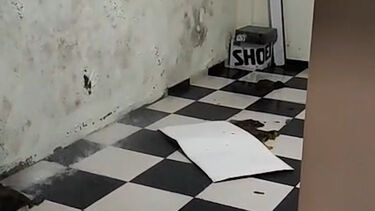 Vídeo mostra chuva intensa a entrar em vestiários da PSP de Braga  