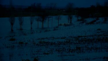 Mais de duas dezenas de estradas afetadas no distrito de Santarém devido ao mau tempo