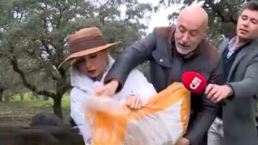 “Esta experiência nunca tinha vivido”: Luciana Abreu e Rui Oliveira no meio das vacas no Alentejo  