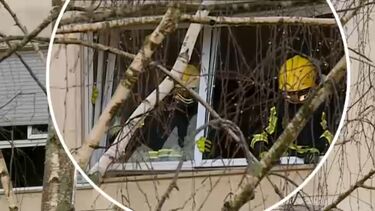 Vídeo mostra bombeiros a retirar estrutura de janela no interior de apartamento de prédio que explodiu em Coimbra  