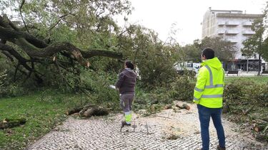 Tempestade 'Kristin' liberta suspeito de violência doméstica em Pombal