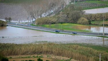 Torres Vedras fala em catástrofe por sucessivos aluimentos de terras