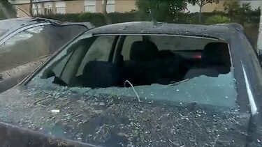 Vento forte no Algarve causou sobretudo quedas de árvores