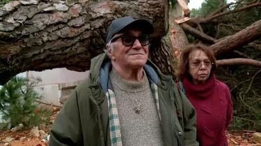 "Árvore caiu a cinco metros da cama da minha filha": Palacete de José Cid muito danificado devido ao mau tempo