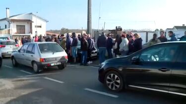 População espera em longas filas para comprar telhas em Leiria