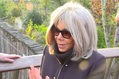 Dez pessoas condenadas por cyberbullying contra Brigitte Macron. O que está em causa? 
