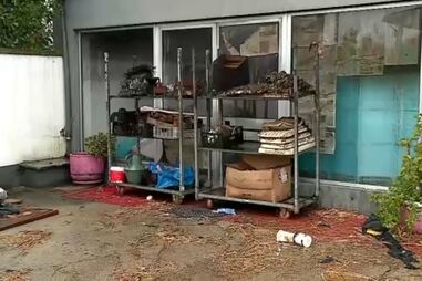 Incêndio deflagra em habitação em Vila Nova de Famalicão