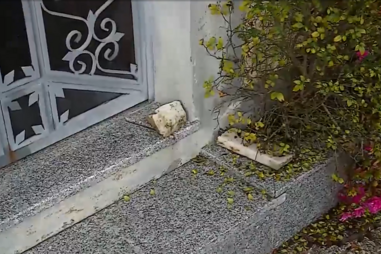 Cemitério de Vieira do Minho alvo de atos de vandalismo recorrentes. Roubam flores, jarros, velas e fios 