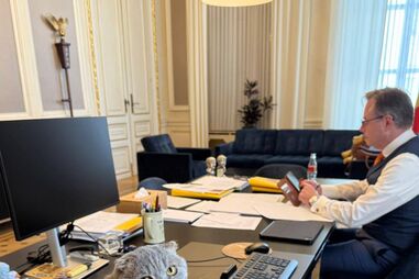 Maximus, o gato do primeiro-ministro da Bélgica, é a nova estrela da política europeia