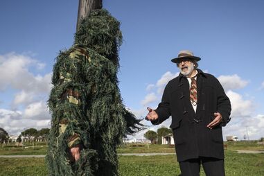 Vieira afirmou que os eucaliptos têm de ser organizados juntamente com a floresta nacional