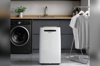 Desumidificador Pro Breeze elimina humidade e mofo, com gestão na app e função de secagem de roupa