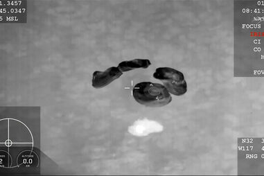 O momento em que cápsula da SpaceX com astronauta doente e três tripulantes aterra ao largo da Califórnia