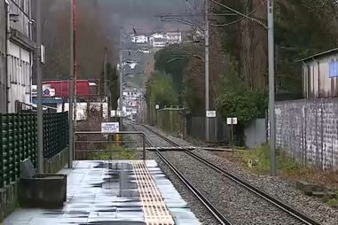 Retomada circulação ferroviária na Linha do Minho suspensa após queda de árvore