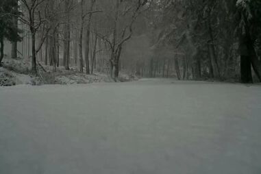 Neve deixa Serra da Lousã pintada de branco e corta várias estradas na zona