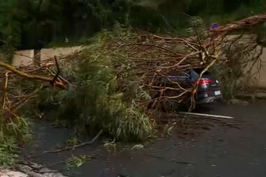 "Fiquei assustada": condutora relata momento em que árvore atingiu carro onde seguia em São Domingos de Benfica