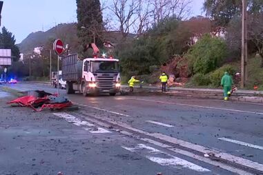 Um morto em queda de árvore em cima de carro em Vila Franca de Xira
