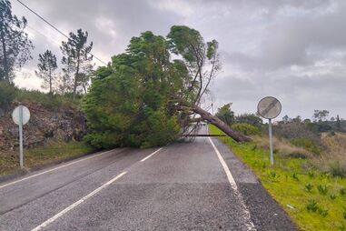 Grande Lisboa, zona Oeste e região de Coimbra são onde ocorreu o maior número de ocorrências