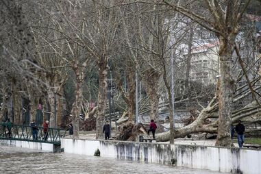 Depressão Kristin em Leiria levou a queda de árvores no parque do Avião