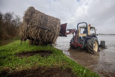 Zona inundada devido do subida do Rio Mondego, após a passagem da depressão Kristin