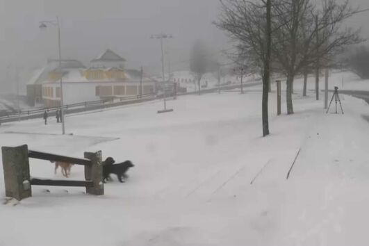 Vento forte e queda de neve encerram acessos à Torre no maciço central da Serra da Estrela