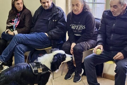 Cáritas de Braga lança projeto-piloto com cães para apoiar vítimas de violência doméstica