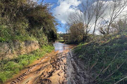 Um morto e dois feridos após veículo todo-o-terreno cair em ribeira no Cadaval