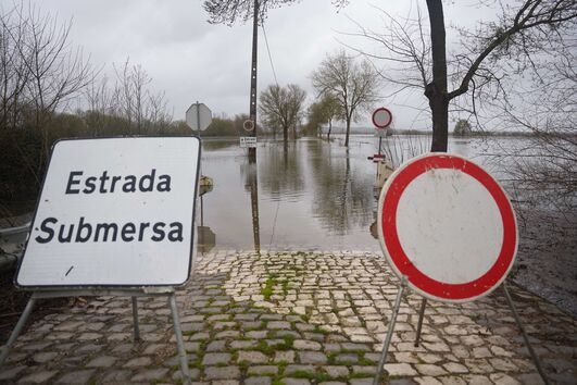 Cheias do Tejo inundam campos e estradas na bacia do rio